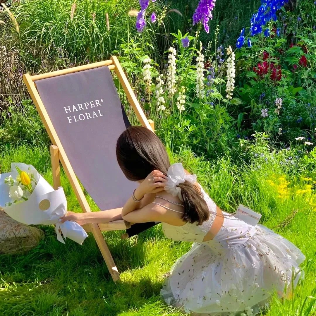 她归来清算开始